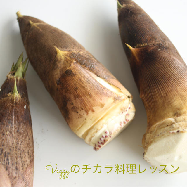 掘ってきました！新鮮たけのこです