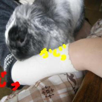落ち着いたけど。。。