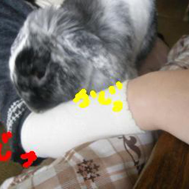落ち着いたけど。。。