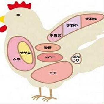 鶏肉 部位の種類と特徴