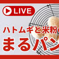 「ニコニコみたい」と思ったこと