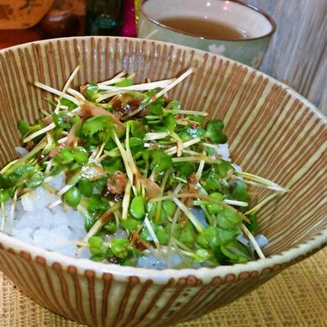 かいわれご飯 熱々ご飯に ピリッと辛みが美味しい By Mayumiたんさん レシピブログ 料理ブログのレシピ満載