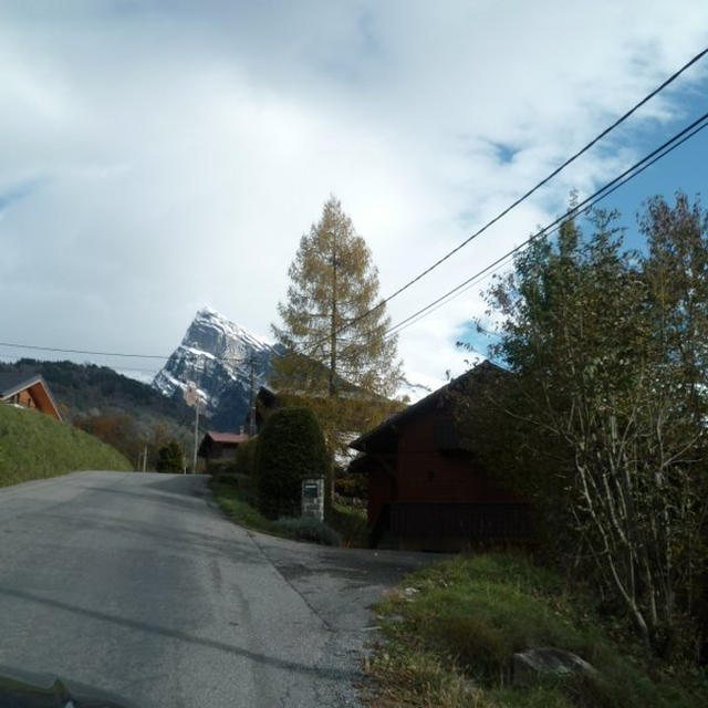 Joux Plane