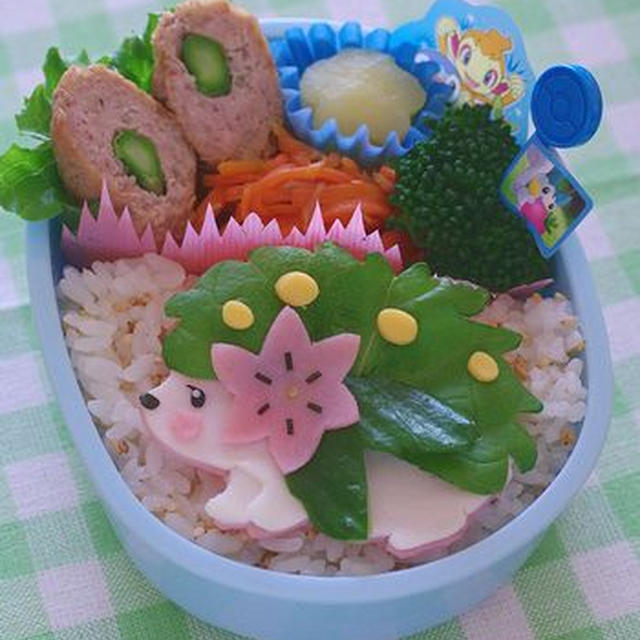 シェイミのお弁当
