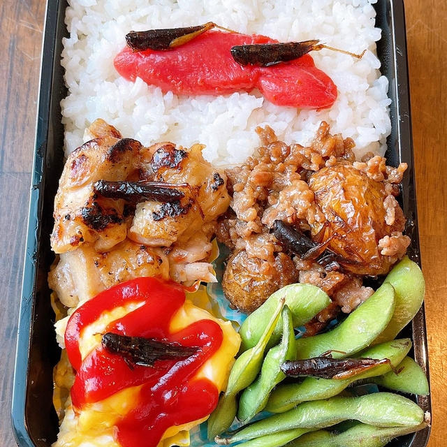 虫弁当です！！