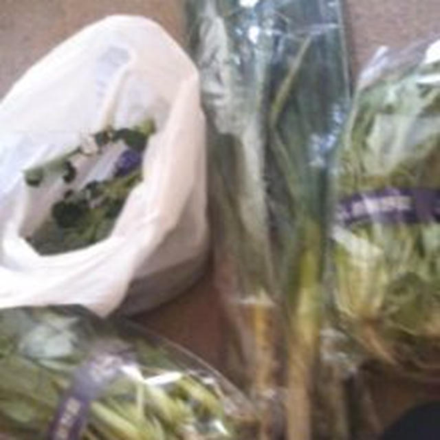 野菜無人販売所で