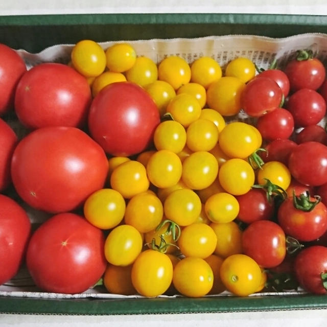＊夏野菜便＊