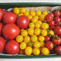＊夏野菜便＊