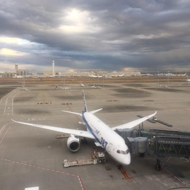 羽田空港国際線ターミナルで1時間遊んでた 羽田空港国際線ターミナル見学ツアー情報も
