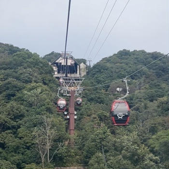 神戸布引ハーブ園