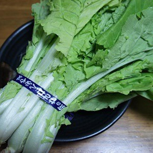 再生野菜「はくさい菜」万歳！