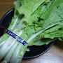 再生野菜「はくさい菜」万歳！
