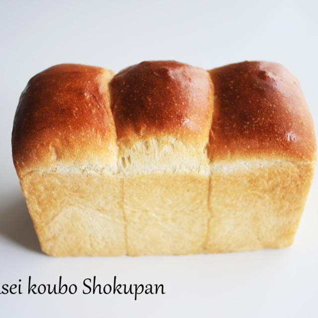 極上「しっとり食パン」が出来ました、自家製天然酵母で