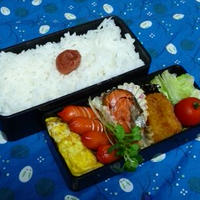 しゃけ弁当