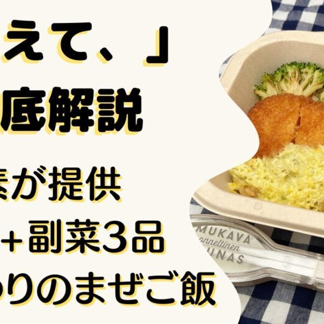 【口コミ・評判】味の素の宅配弁当「あえて、」を20食たべた感想と注文レビュー｜メリット・デメリットも紹介