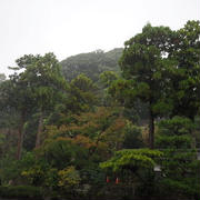 鎌倉散歩 / 雨の建長寺