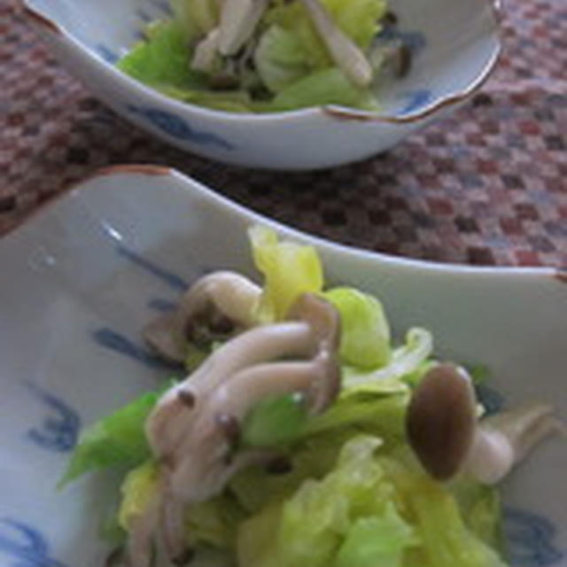 「キャベツとキノコの煮浸し」