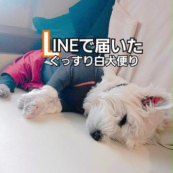 心配したけれど…。元気らしい