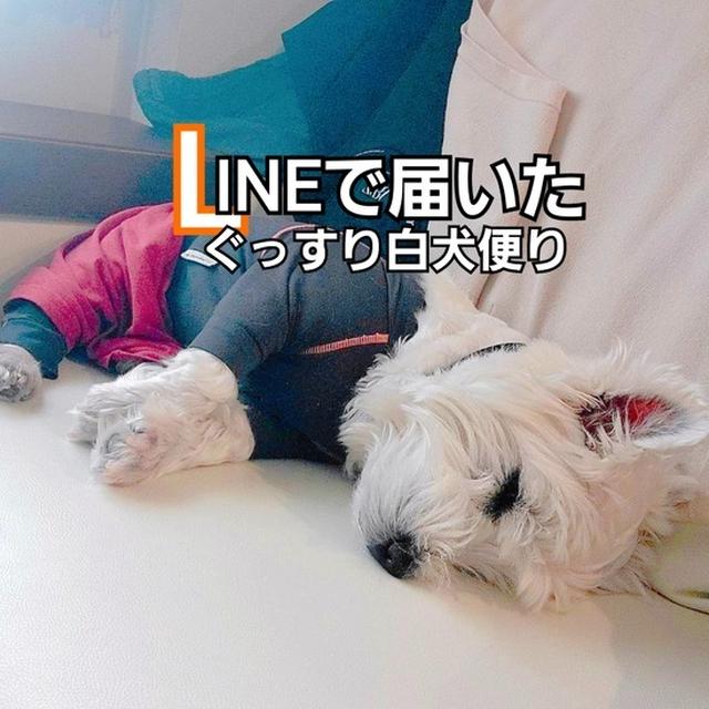 心配したけれど…。元気らしい