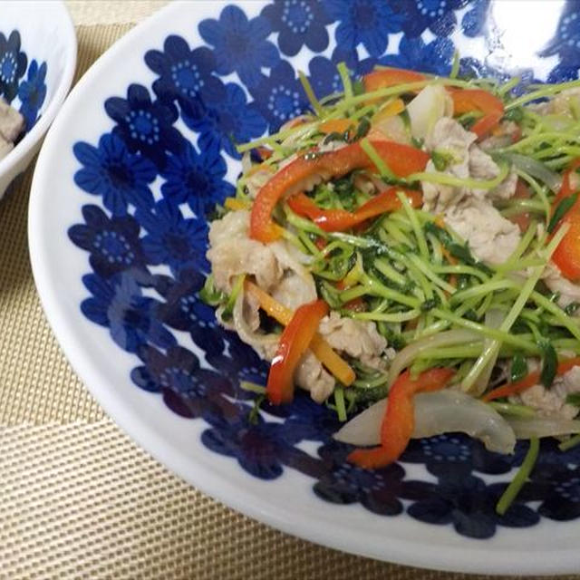豆苗と豚肉のソテー・ソース味と宿根草エキナセア