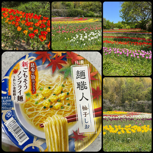 馬見丘陵公園のチューリップフェアへ運転手