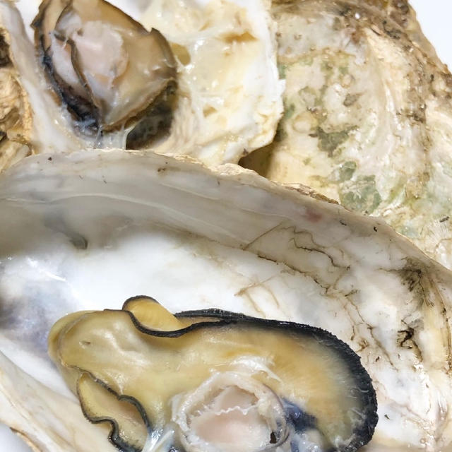 週末おうちで牡蠣のガンガン焼き！