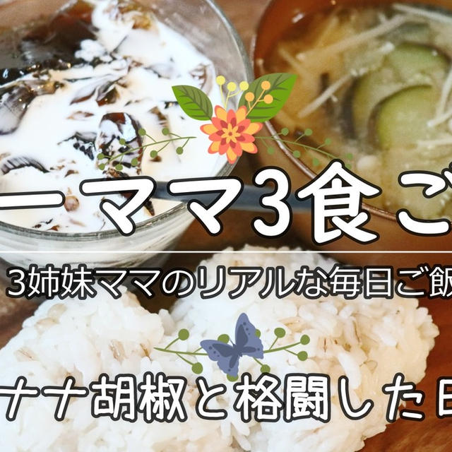 バナナ胡椒に苦戦した3食ご飯…めっちゃむせながら作りました(；´∀｀)