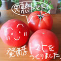 4月11日　完熟トマトで『発酵トマト』を作りました。
