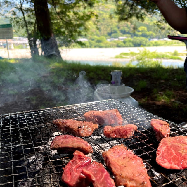 紙のこいのぼりと仁淀川