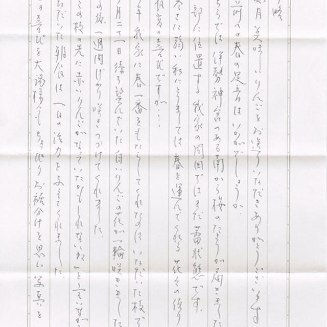 春一番をもたらしてくれてたのはいただいた枝でした