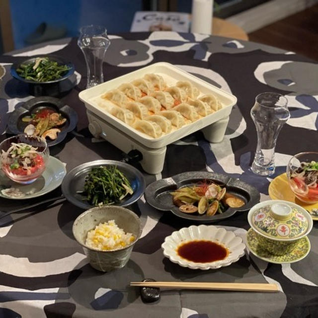 ちっこいアビエンで餃子&とうもろこしごはんの夜ごはんと、ひめちゃん通院