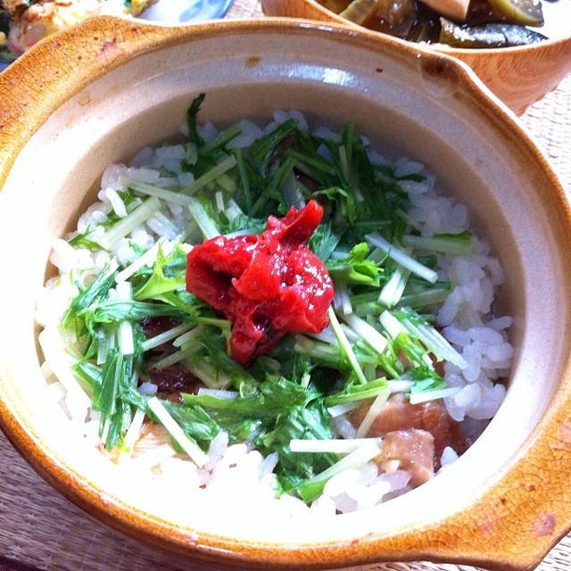 コンビニねぎまと水菜のお粥