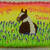 Paint Horse 