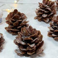 クリスマスにみんなで楽しく作るチョコぼっくり by HiroMaruさん