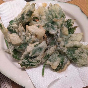 うどで定番3品とふきとにしんの煮物