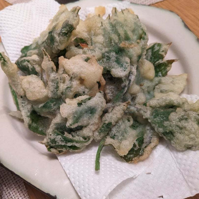 うどで定番3品とふきとにしんの煮物