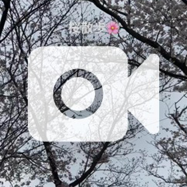 花冷えの桜散歩へ。。。