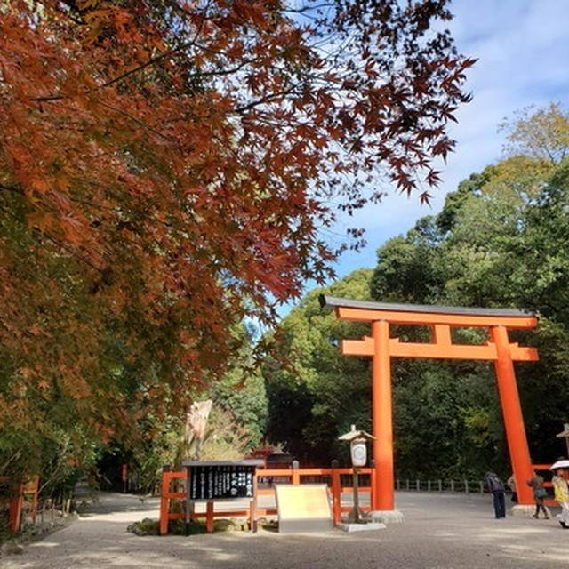 そうだ！京都に行こう(ﾟДﾟ)ﾉ