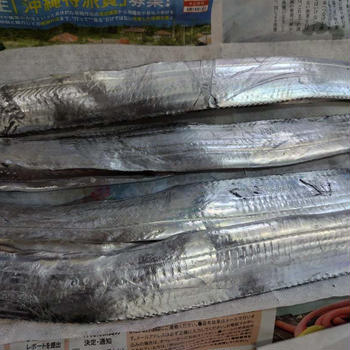 太刀魚が大漁＆新鮮野菜