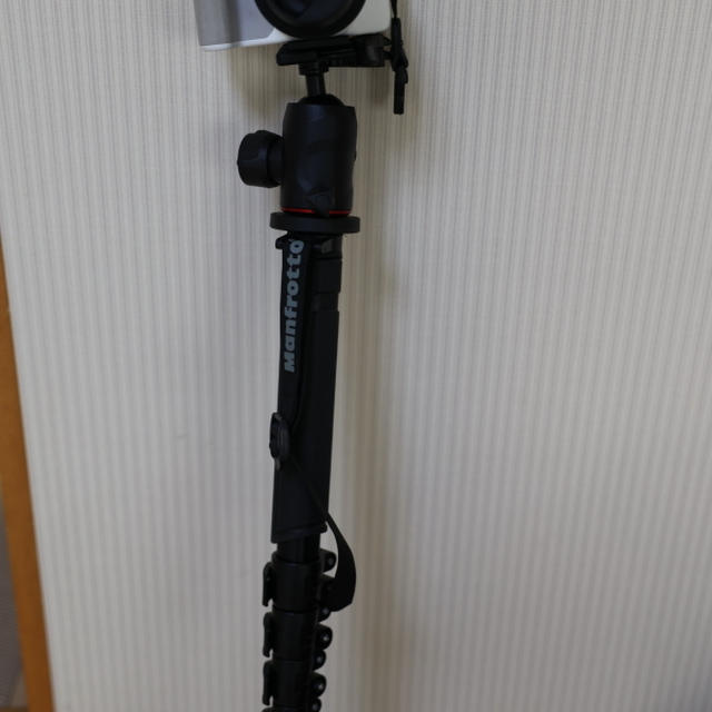 あじさいの撮影　あると便利　一脚
