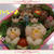 はなかっぱとももかっぱちゃんのお弁当☆キャラ弁♪
