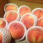 福島ブランド「あかつき」福島の親戚から桃が届きました！！