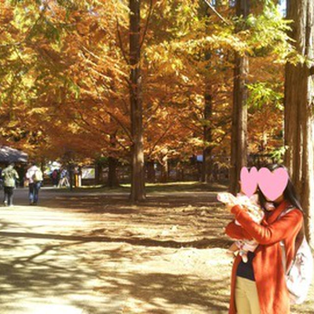 娘　神戸森林植物園に紅葉を見に行く
