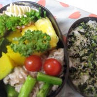 2010年6月21日（月）のお弁当