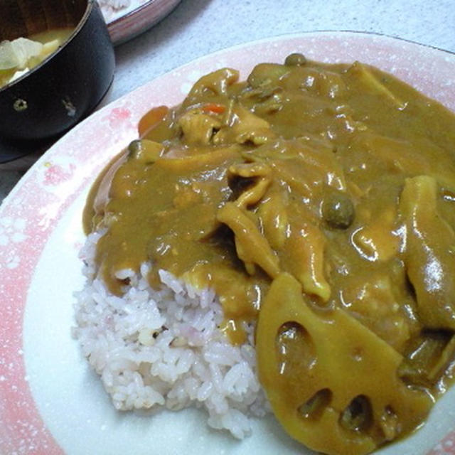 干し野菜〜秋の根菜とキノコのカレー