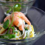 Asian Shrimp and Rice Vermicelli Salad具沢山アジアン春雨サラダ