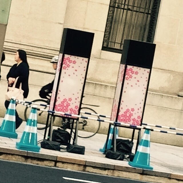日本橋 桜通り ライトアップ