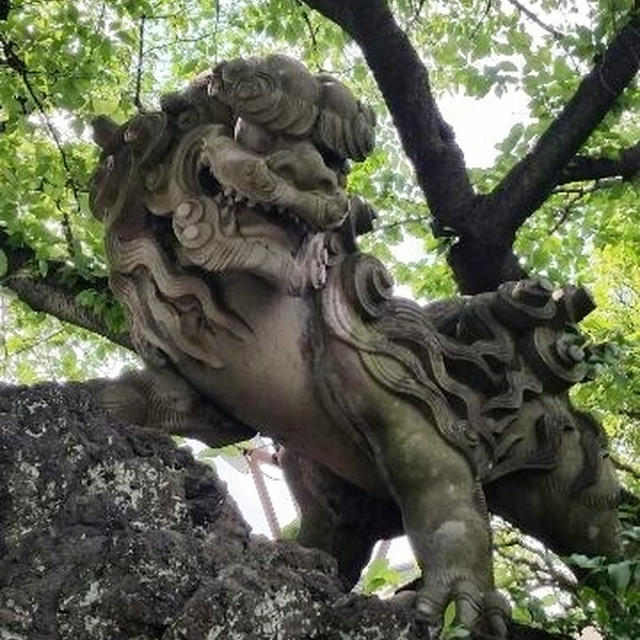 千葉のパワースポット『千葉神社』へ・・・　先日、また急にね(^_-)-☆　