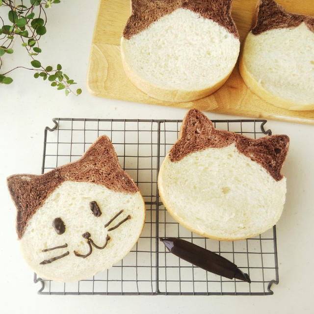 猫の食パン
