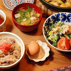 牛丼・焼肉丼
